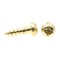 Prime-Line Wood Screw, Round Head, Phillips Drive No. 6 X 1/2in Solid Brass 25PK 9207385 - alternate 3